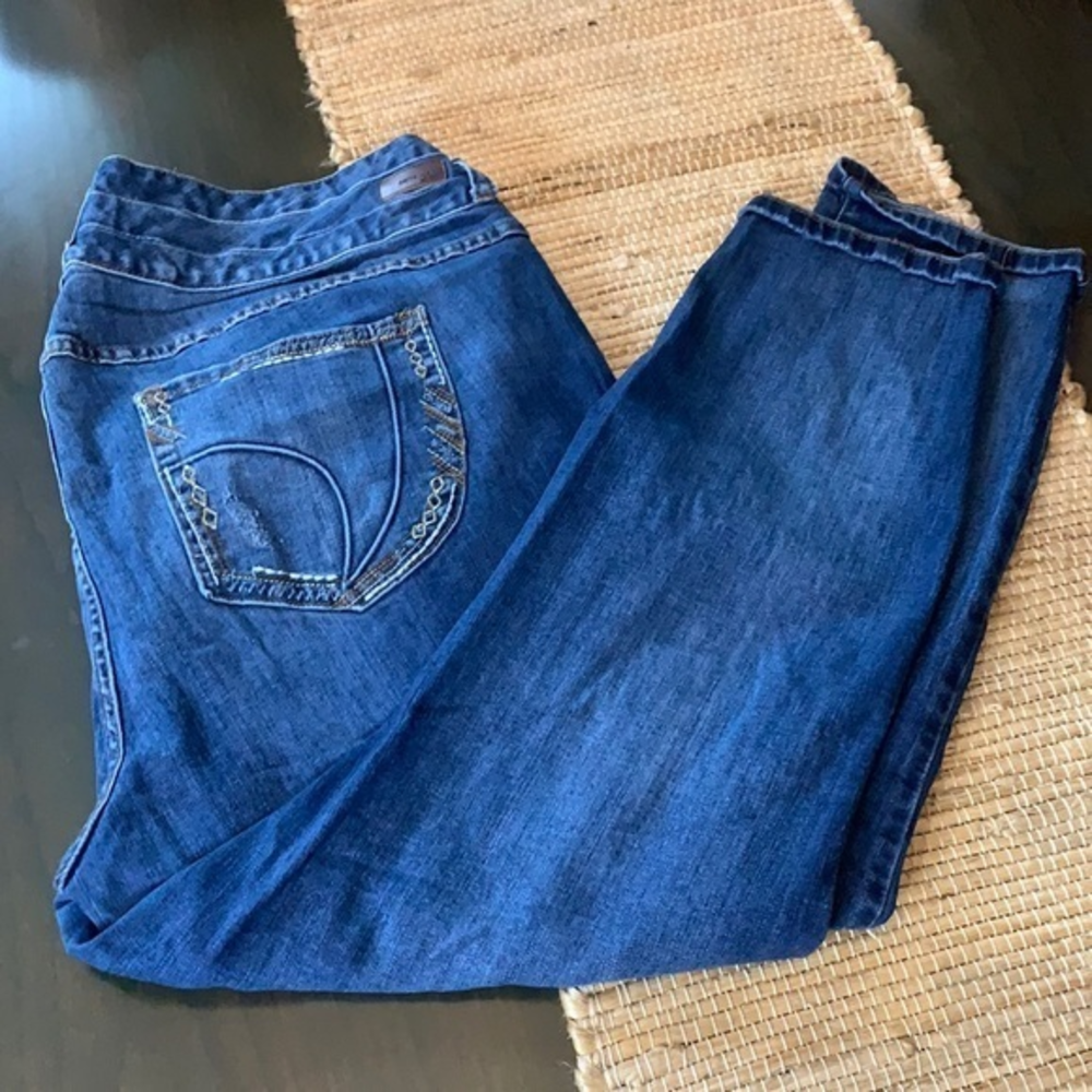 Ariya Distressed Jeans‎ w/Pocket Detail Size 24